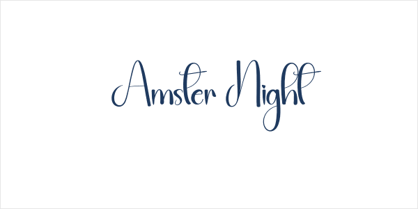 Amster Night Logo
