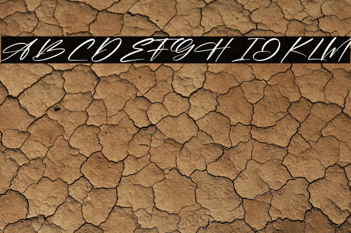 Amstera Balika Example 3