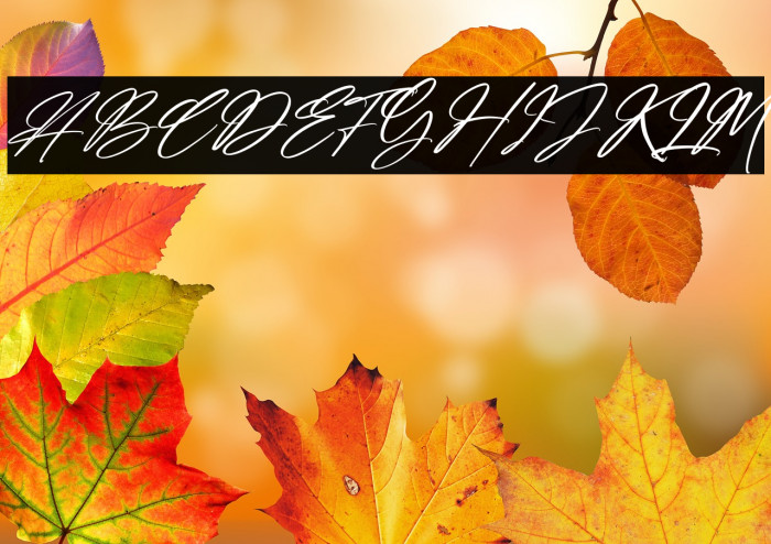 Amsterdam Billionaire Italic Example 1