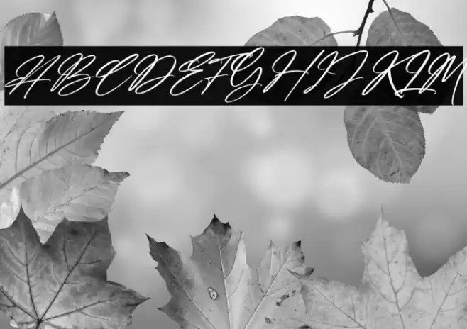 Amsterdam Billionaire Italic Font examples