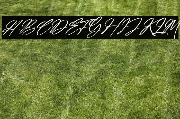 Amsterdam Billionaire Italic Example 3