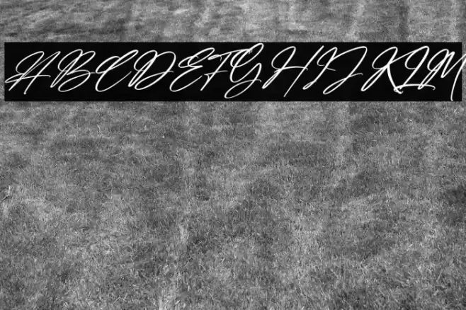 Amsterdam Billionaire Italic Font examples