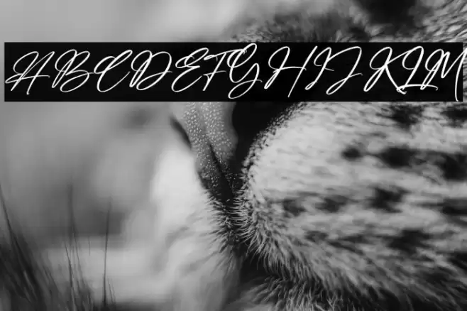 Amsterdam Billionaire Font examples