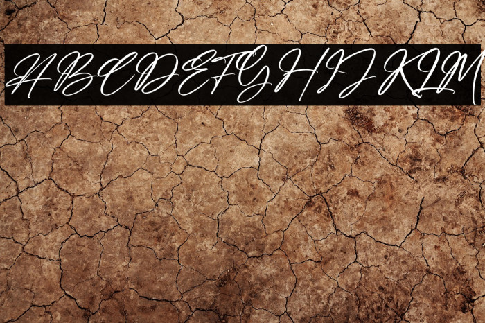 Amsterdam Billionaire Example 2