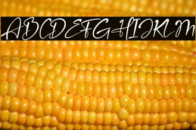 Amsterdam Bright Italic Example 1