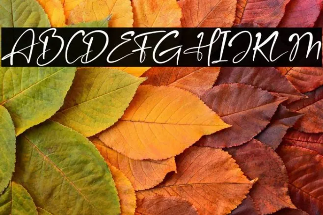 Amsterdam Bright Italic Example 2