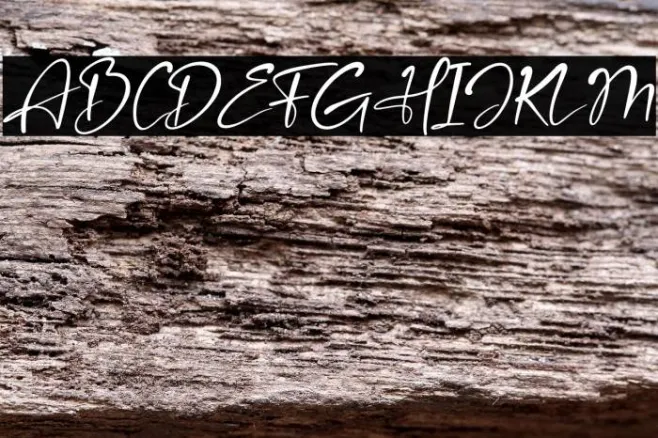 Amsterdam Bright Italic Example 3