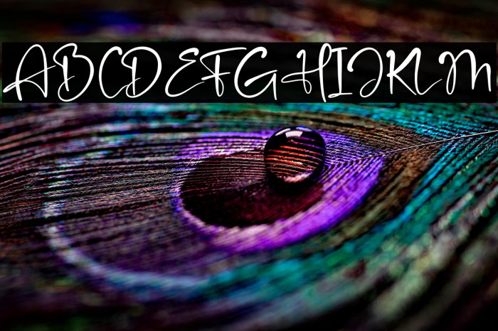 Amsterdam Bright Example 2