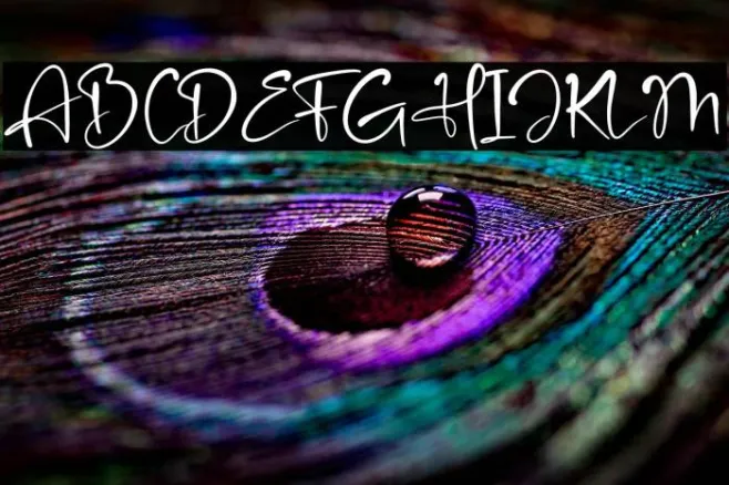 Amsterdam Bright Example 2