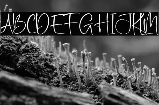 Amsterdam Bright Font examples