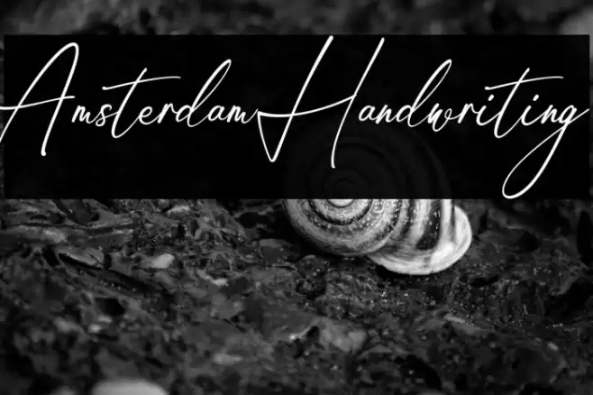 Amsterdam Handwriting Font examples