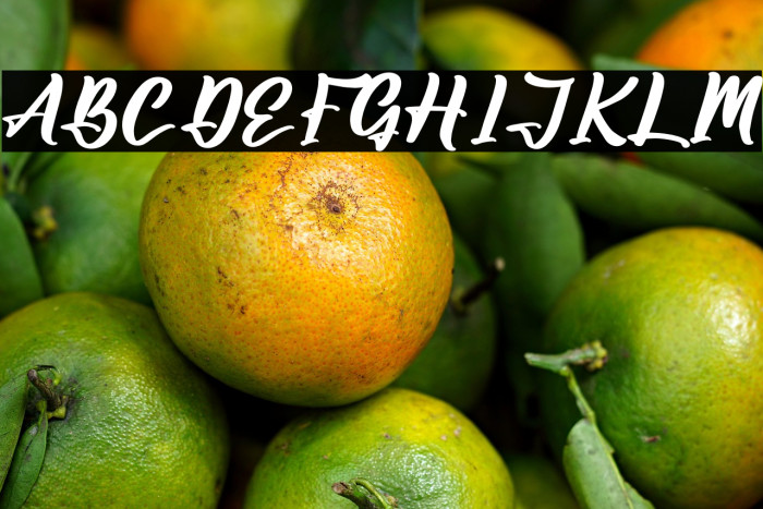 Amsterdam Jungleria Example 1