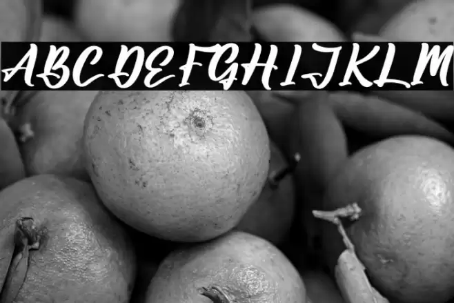 Amsterdam Jungleria Font examples