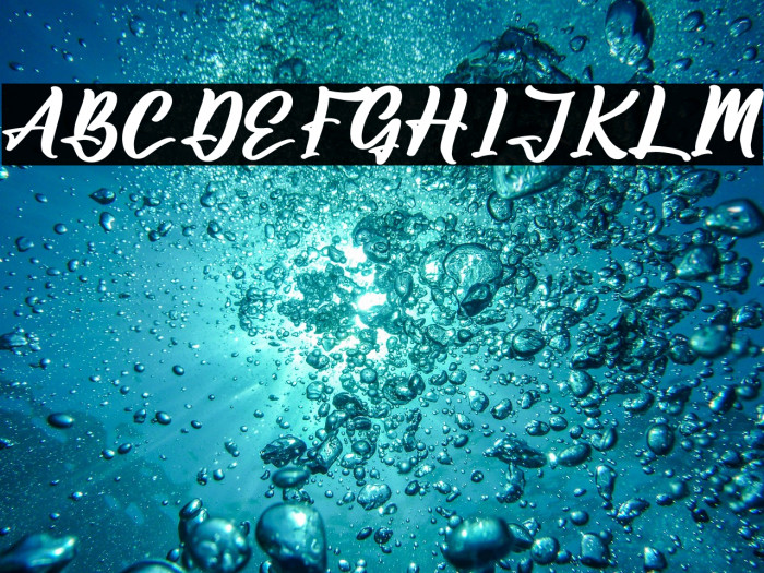 Amsterdam Jungleria Example 2