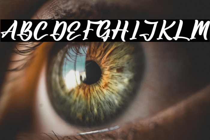 Amsterdam Jungleria Example 3