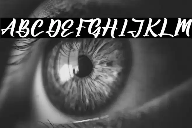 Amsterdam Jungleria Font examples