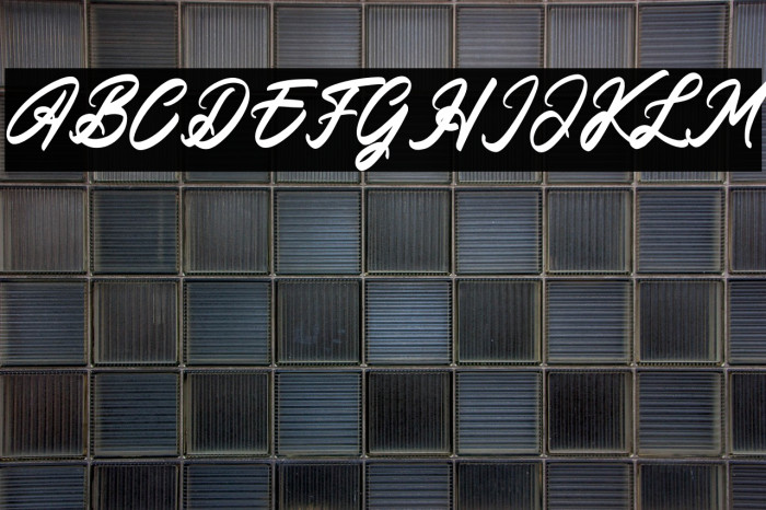 Amsterdam Lentteria Italic Example 1