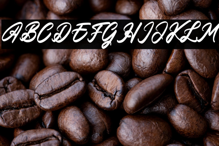 Amsterdam Lentteria Italic Example 2