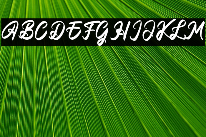 Amsterdam Lentteria Example 2