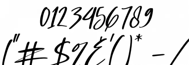 Amsterdam Listing Italic Font OTHER CHARS