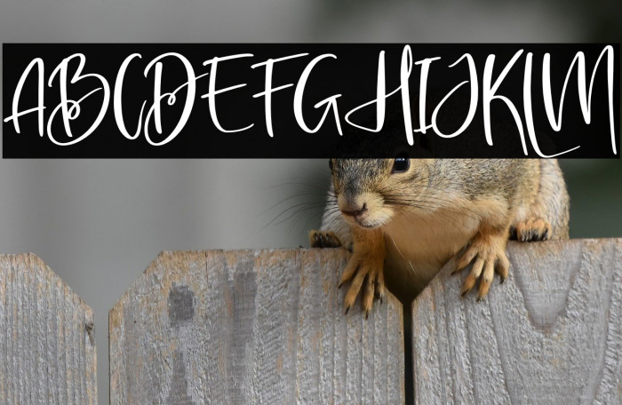 Amsterdam Listing Example 1