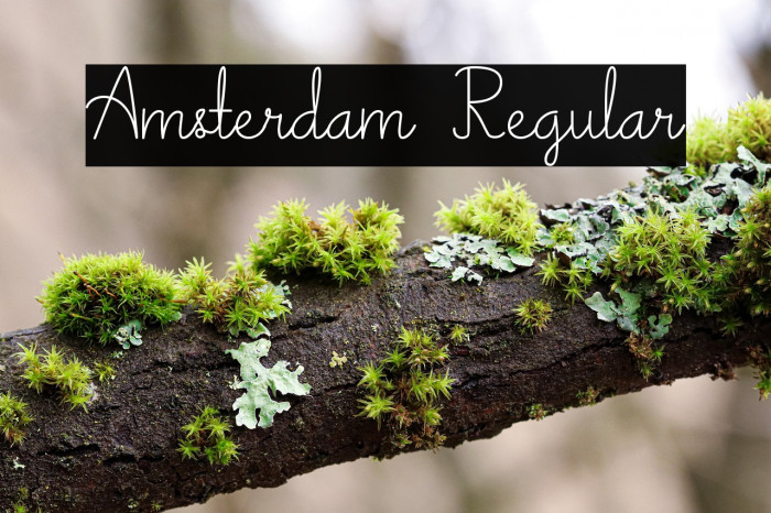 Amsterdam Regular Example 1