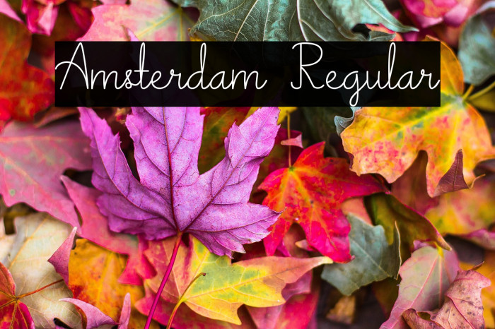 Amsterdam Regular Example 2