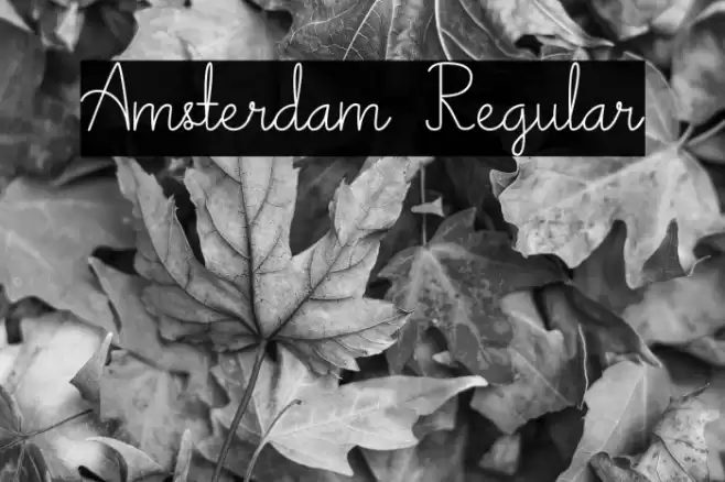 Amsterdam Regular Polices examples