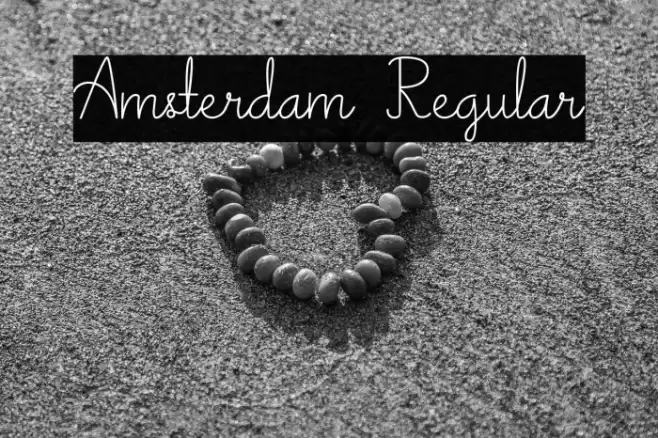 Amsterdam Regular Polices examples