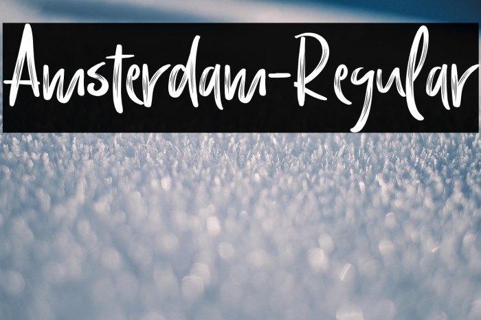 Amsterdam-Regular Example 1