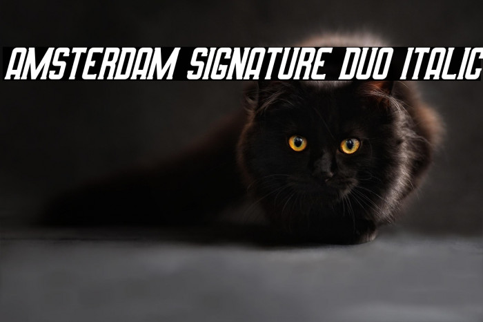 Amsterdam Signature Duo Italic フォント examples