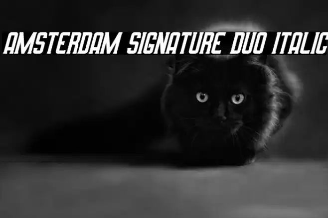 Amsterdam Signature Duo Italic Font examples