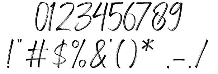 Amsterdam Signature Font OTHER CHARS