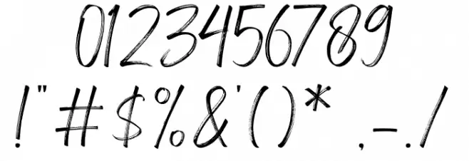 Amsterdam Signature Font OTHER CHARS