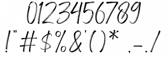 Amsterdam Signature Font OTHER CHARS