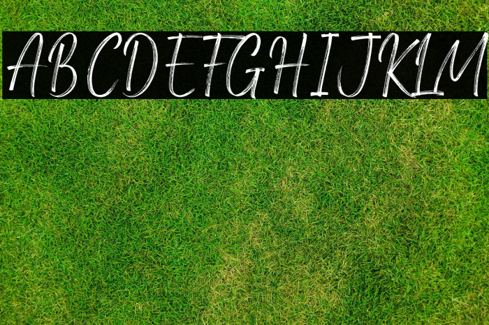 Amsterdam Signature Example 1