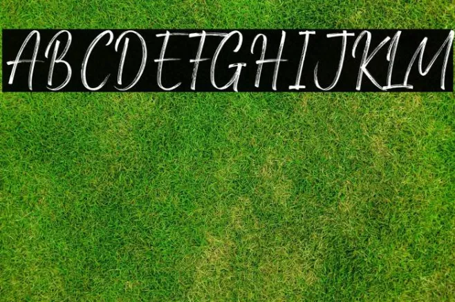 Amsterdam Signature Example 1