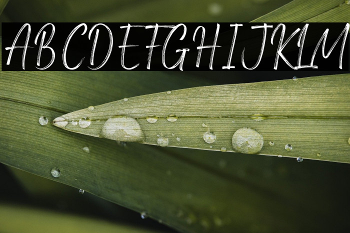 Amsterdam Signature Example 1