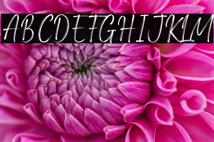 Amsterdam Signature Example 2