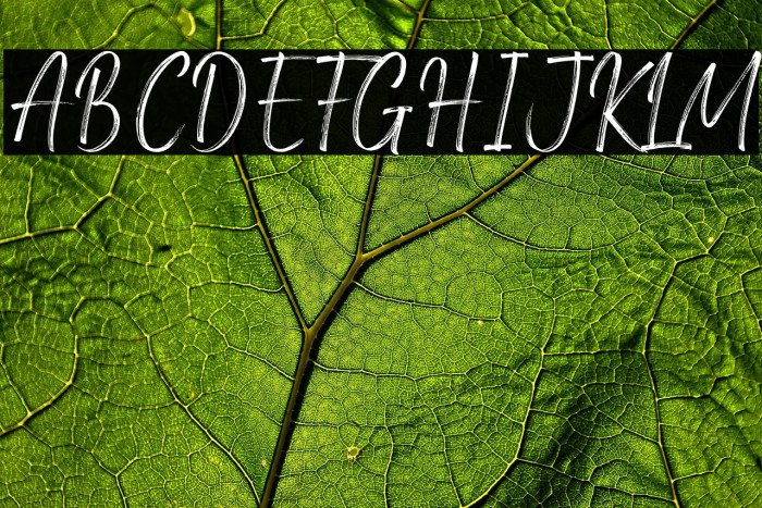 Amsterdam Signature Example 3