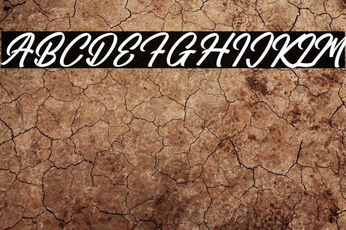 Amsterdam Traveling Italic Example 1