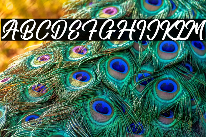 Amsterdam Traveling Example 1