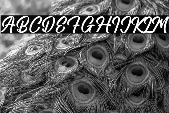 Amsterdam Traveling Font examples