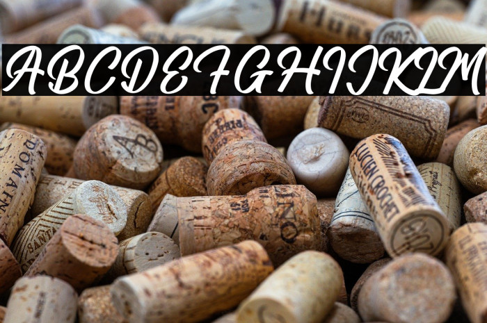 Amsterdam Traveling Example 2