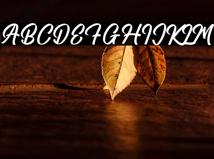 Amsterdam Traveling Example 3