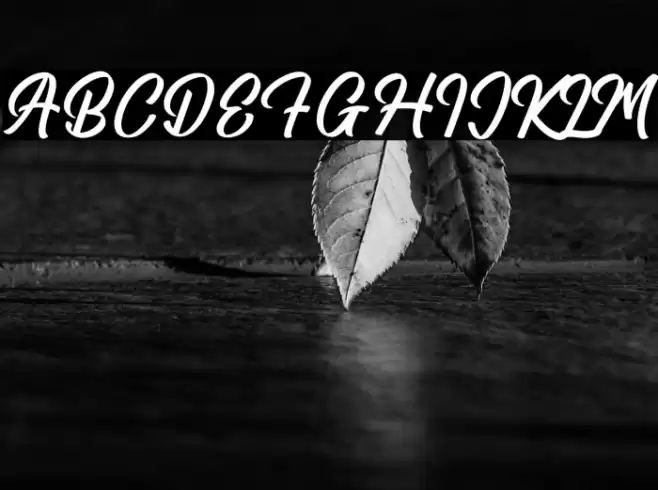 Amsterdam Traveling Font examples