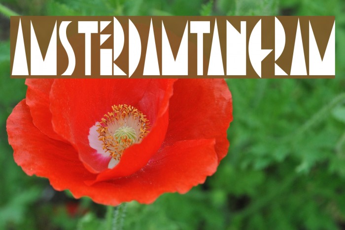 AmsterdamTangram Font examples
