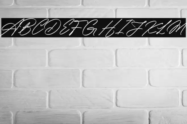 Amsterday Signature Font examples