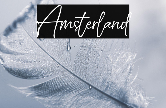 Amsterland Example 1