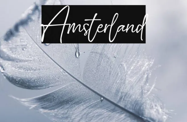 Amsterland Example 1